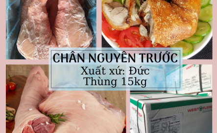 Chân Nguyên Trước Heo Đông Lạnh